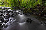 Click to see Y-JG-PAN-S1R-18MM-6792-MOD.JPG