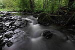 Click to see Y-JG-PAN-S1R-18MM-6792.JPG