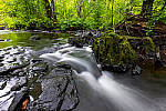 Click to see Y-JG-PAN-S1R-18MM-6796-MOD.JPG