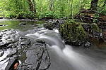 Click to see Y-JG-PAN-S1R-18MM-6796.JPG