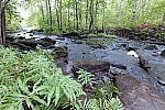Click to see Y-JG-PAN-S1R-18MM-6799.JPG