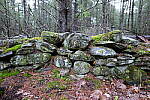 Click to see Y-JG-PAN-S1R-18MM-6817.JPG