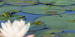 Click to see Y-JG-S1R-3009-MOD.JPG