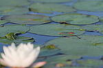 Click to see Y-JG-S1R-3009.JPG