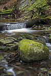 Click to see Y-JG-S1R-3292-MOD.JPG