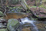 Click to see Y-JG-S1R-3305.JPG