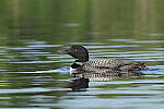 Click to see Y-JG-S1R-3335.JPG