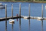 Click to see Y-JG-S1R-4797.JPG