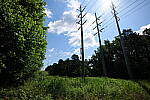 Click to see Y-Sigma16_28MM-WB-P1006539.JPG