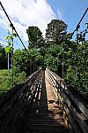 Click to see Y-Sigma16_28MM-WB-P1006544.JPG