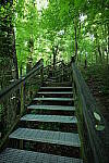 Click to see Y-Sigma16_28MM-WB-P1006555.JPG