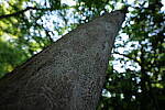 Click to see Y-Sigma16_28MM-WB-P1006651.JPG