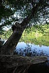 Click to see Y-Sigma16_28MM-WB-P1006683.JPG