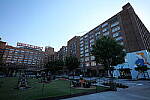 Click to see Y-Sigma16_28MM-WB-P1006697.JPG