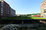 Click to see Y-Sigma16_28MM-WB-P1006742-16mm-f8.0.JPG
