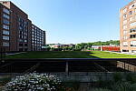 Click to see Y-Sigma16_28MM-WB-P1006744-16mm-f16.0.JPG