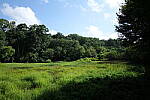 Click to see Y-WB-24MMF18S-P1005934-f1.8.JPG