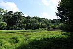 Click to see Y-WB-24MMF18S-P1005936-f2.8.JPG
