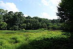 Click to see Y-WB-24MMF18S-P1005937-f4.0.JPG