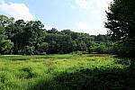Click to see Y-WB-24MMF18S-P1005938-f5.6.JPG