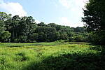 Click to see Y-WB-24MMF18S-P1005939-f8.0.JPG
