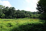 Click to see Y-WB-24MMF18S-P1005941-f16.0.JPG