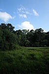 Click to see Y-WB-24MMF18S-P1005942.JPG