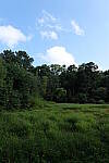 Click to see Y-WB-24MMF18S-P1005943.JPG