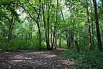 Click to see Y-WB-24MMF18S-P1005945.JPG