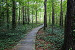 Click to see Y-WB-24MMF18S-P1005957.JPG