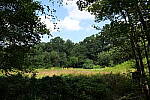 Click to see Y-WB-24MMF18S-P1005983.JPG