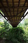 Click to see Y-WB-24MMF18S-P1006060.JPG