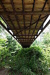 Click to see Y-WB-24MMF18S-P1006061.JPG