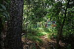 Click to see Y-WB-24MMF18S-P1006102.JPG