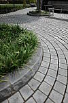 Click to see Y-WB-24MMF18S-P1006150.JPG