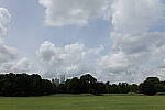 Click to see Y-WB-24MMF18S-P1006196-f2.8.JPG