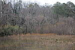 Click to see Y-WB-70_300-P1005465.JPG
