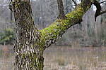 Click to see Y-WB-70_300-P1005490.JPG