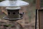Click to see Y-WB-70_300-P1005517.JPG
