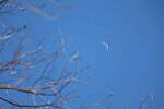Click to see Y-WB-70_300-P1005622.JPG