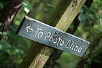Click to see Y-WB-P1006297-Sigma90mm-f2.8.JPG