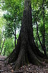 Click to see Y-WB-P1006332-Sigma24mm-f2.8.JPG