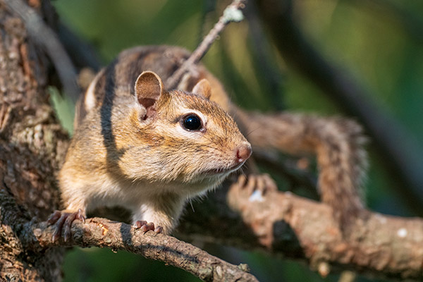 Panasonic S1R Review: Field Test -- Gallery Image