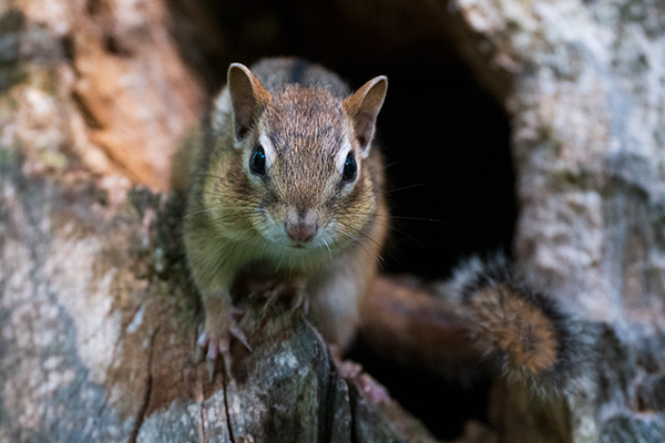 Panasonic S1R Review: Field Test -- Gallery Image
