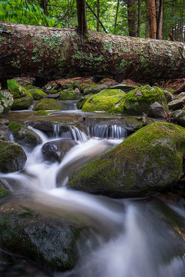 Panasonic S1R Review: Field Test -- Gallery Image
