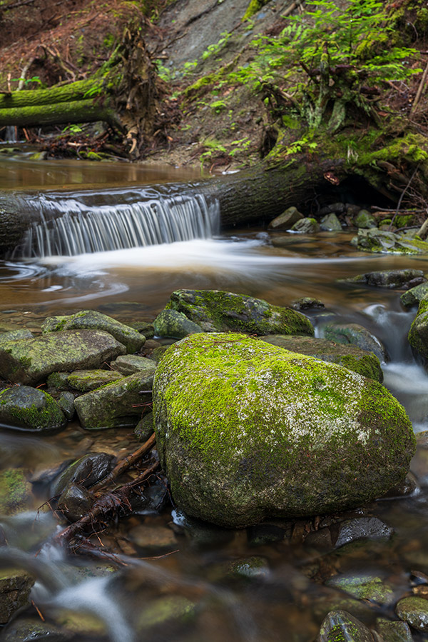 Panasonic S1R Review: Field Test -- Gallery Image