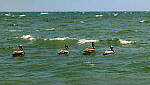 Click to see Y-DP-0561-edt.jpg