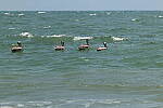 Click to see Y-DP-0561.JPG