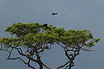 Click to see Y-DP-0580.JPG