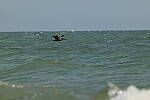 Click to see Y-DP-0619.JPG